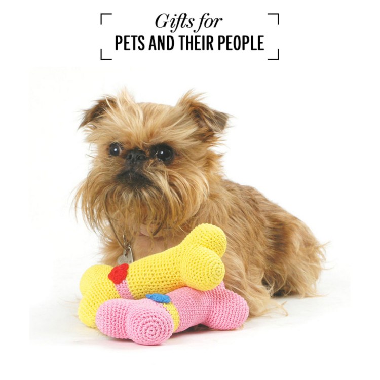 Брюссельский гриффон Пти брабансон