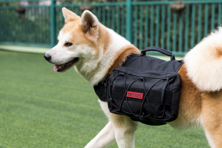 Рюкзак для собаки
