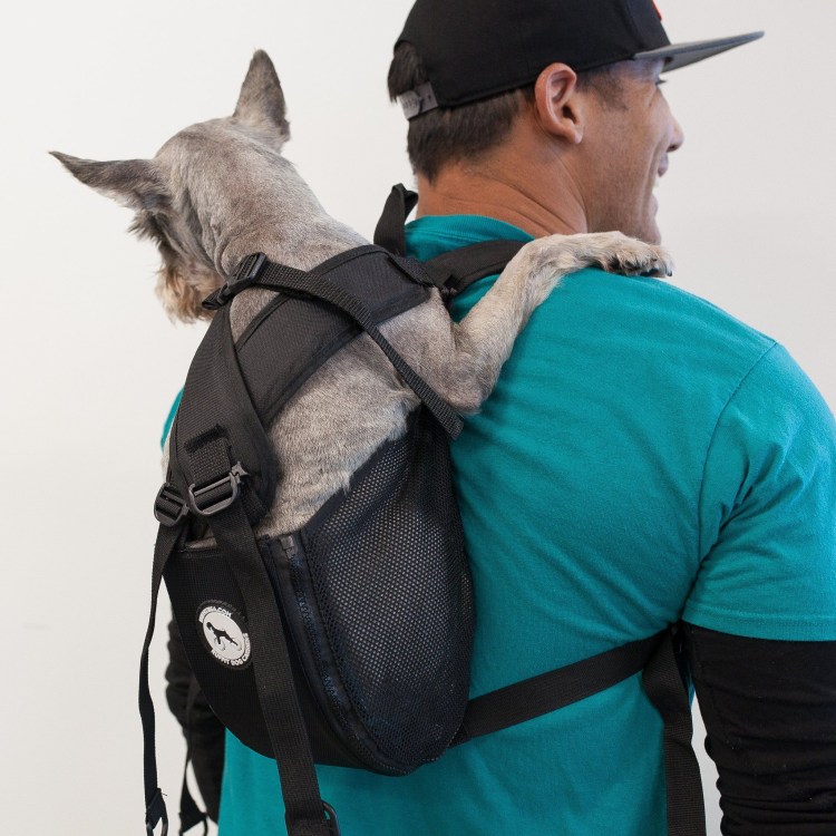 Рюкзак переноска для собаки на спину