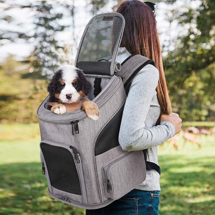 Рюкзак переноска Carrier Dog