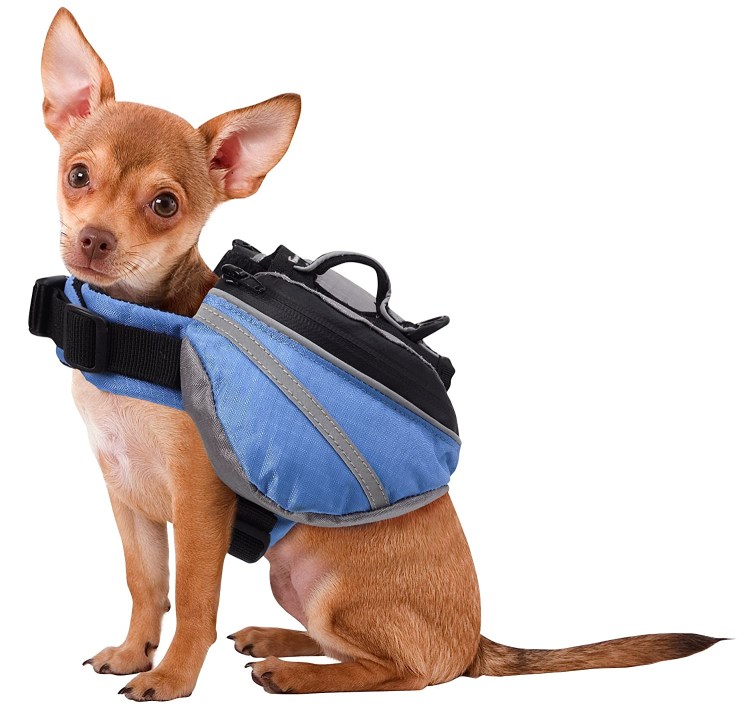 Сумка для собак