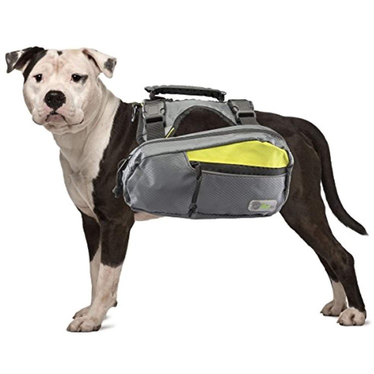 Сумка для собак Major Dog