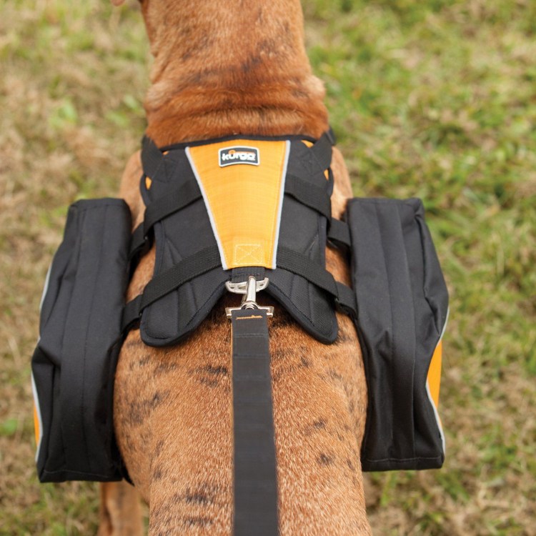 Походный рюкзак для собаки