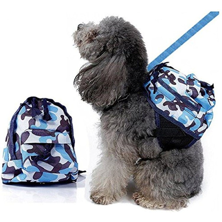 Рюкзак для собаки