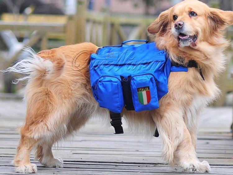 Рюкзак для собаки на спину