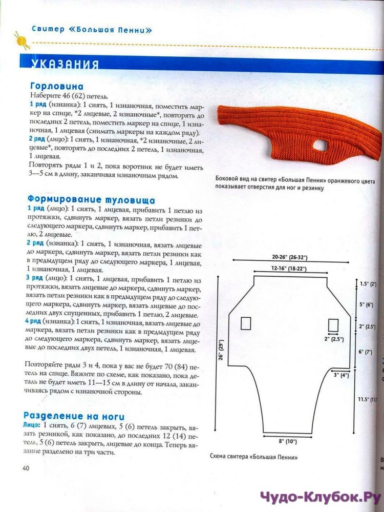 Выкройка одежды для собак мелких пород чихуахуа