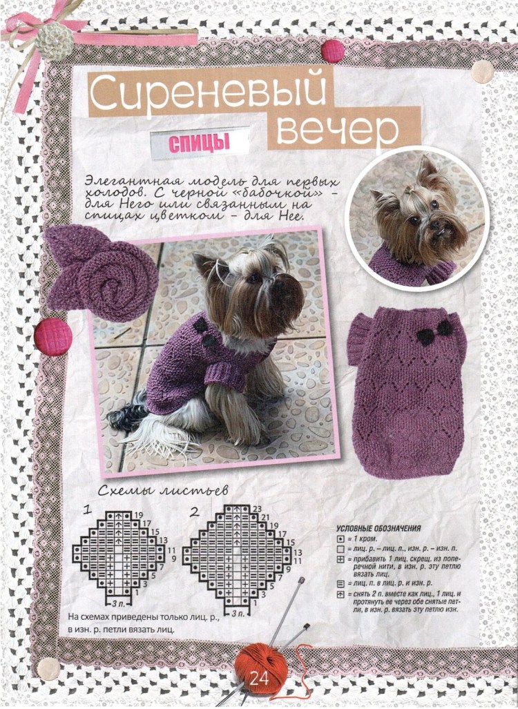 Вязаная одежда для мопсов схемы