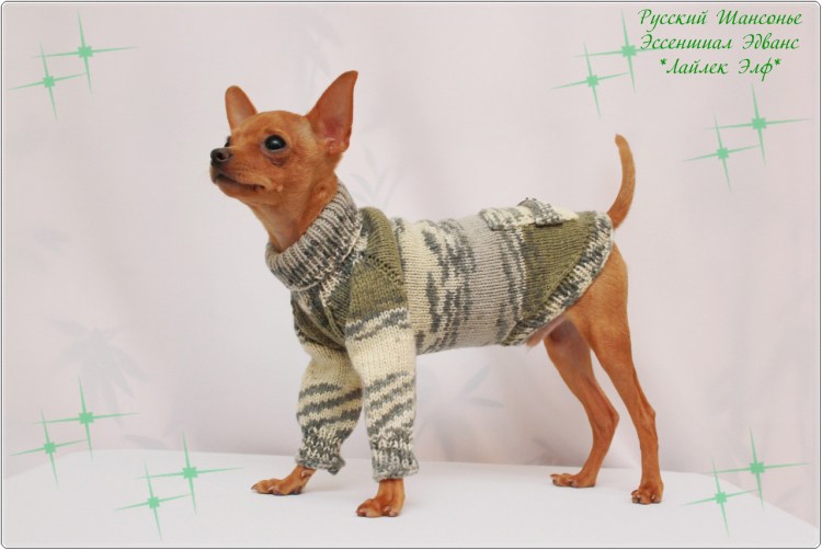 Вязаный свитер для собаки