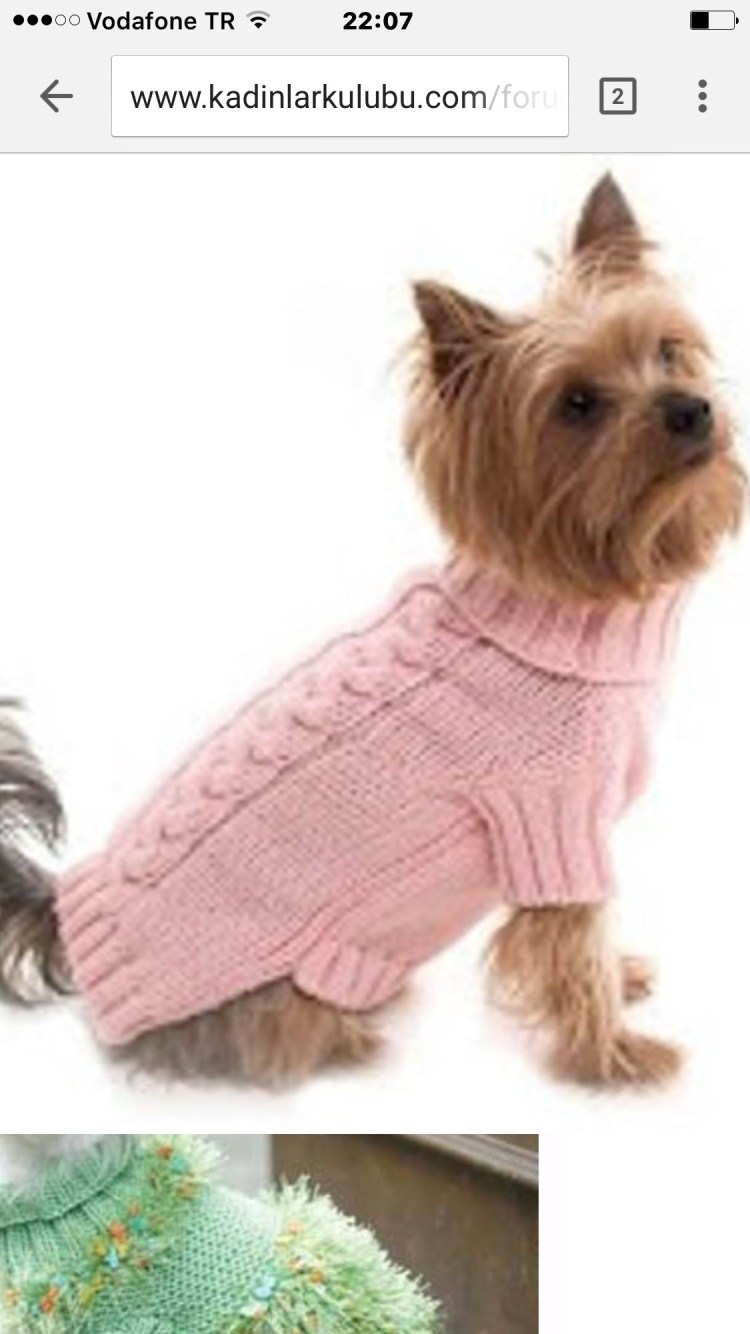 Схема вязания свитера для кошки