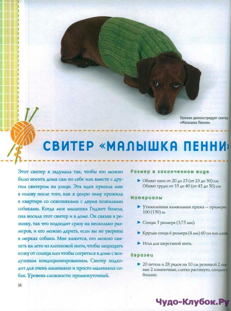 Вязаные комбинезоны для собачек