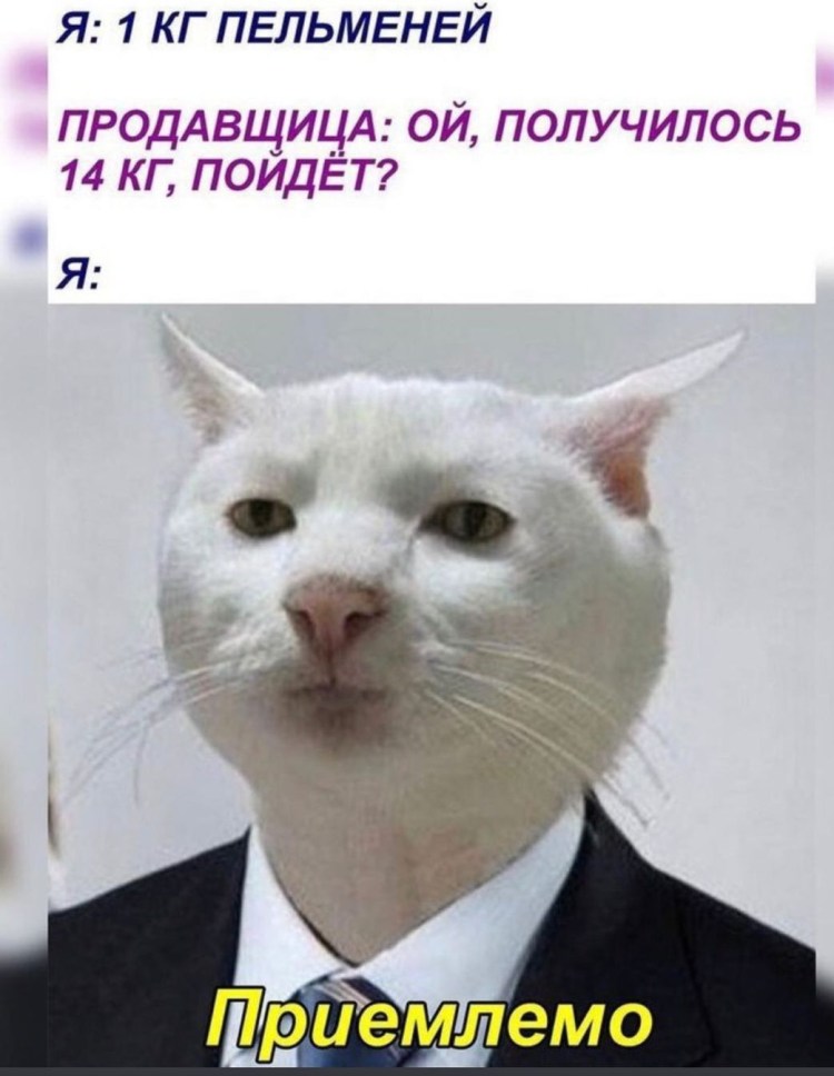 Голова таксы на белом фоне