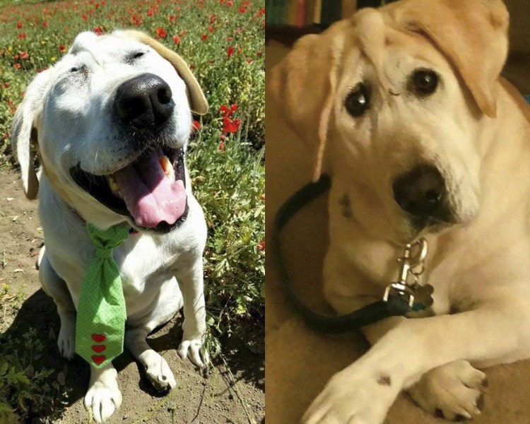 Барон счастливы вместе