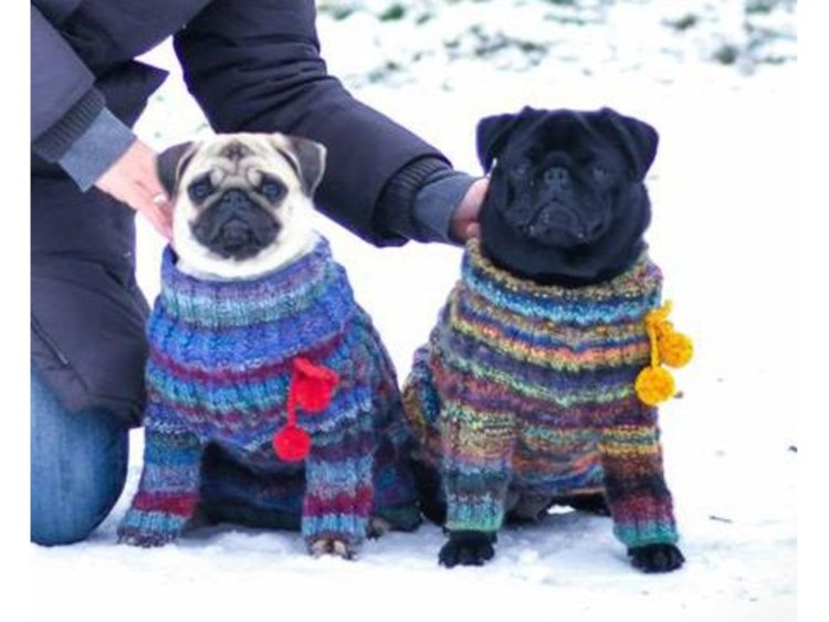 Одежда для собак мопсов вязаные