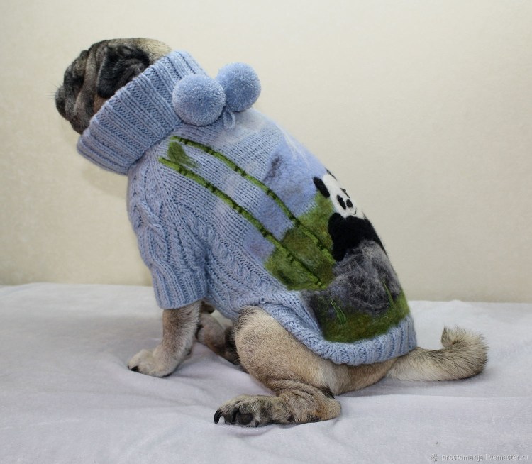 Свитер для французского бульдога
