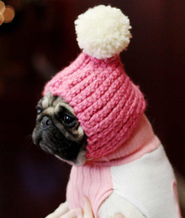 Свитерок для МОПСА