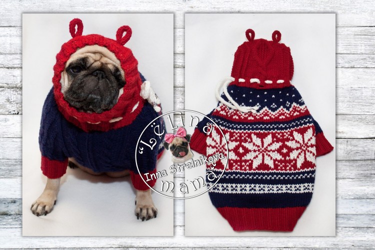 Свитер для собаки спицами МОПСА