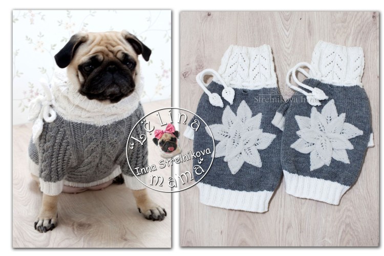 Мопс в одежде