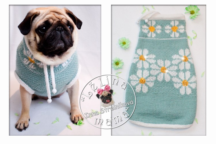 Вязаная свитер для МОПСА