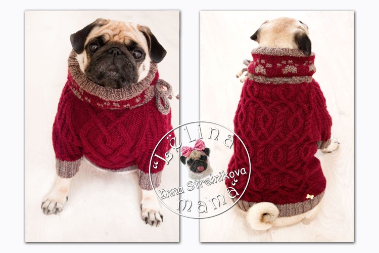 Вязаная свитер для МОПСА