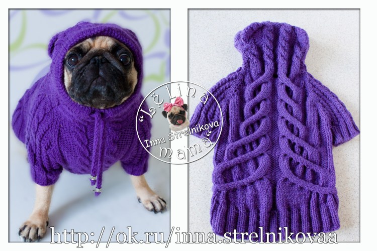 Свитер для МОПСА