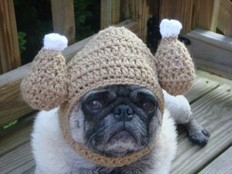 Вязаная одежда для МОПСА