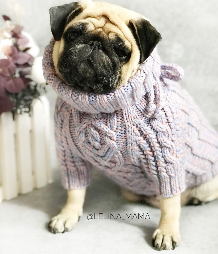 Свитер для МОПСА