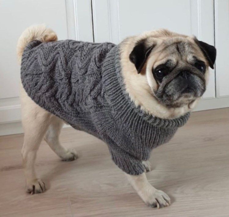 Свитер для МОПСА