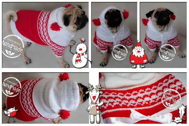 Мопс в шапке