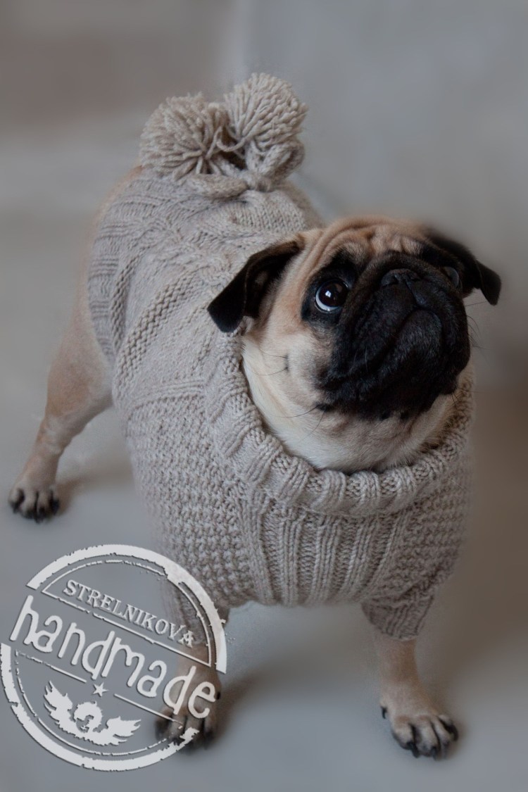 Вязаные вещи для МОПСА