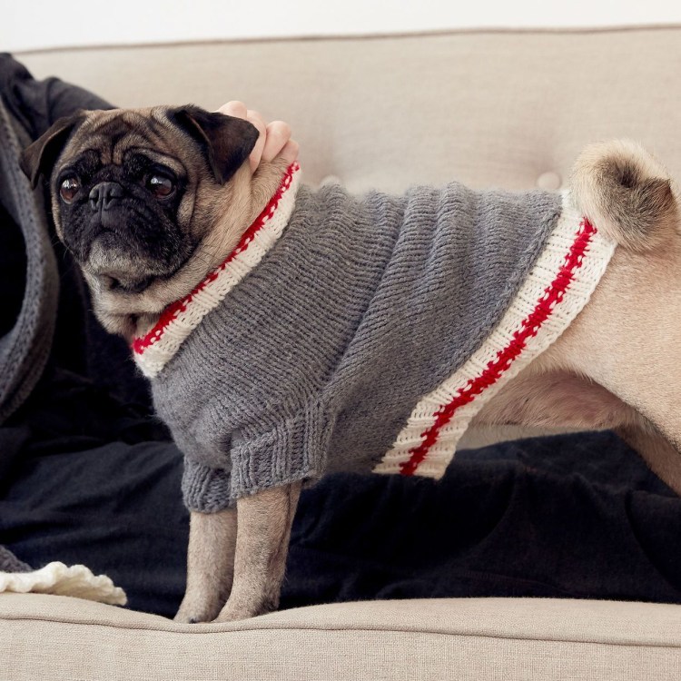 Вязаные костюмы для мопсов