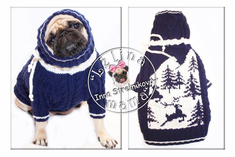 Мопс в костюме единорога