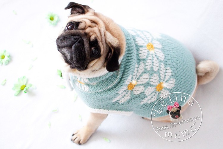 Вязание комбинезон для МОПСА