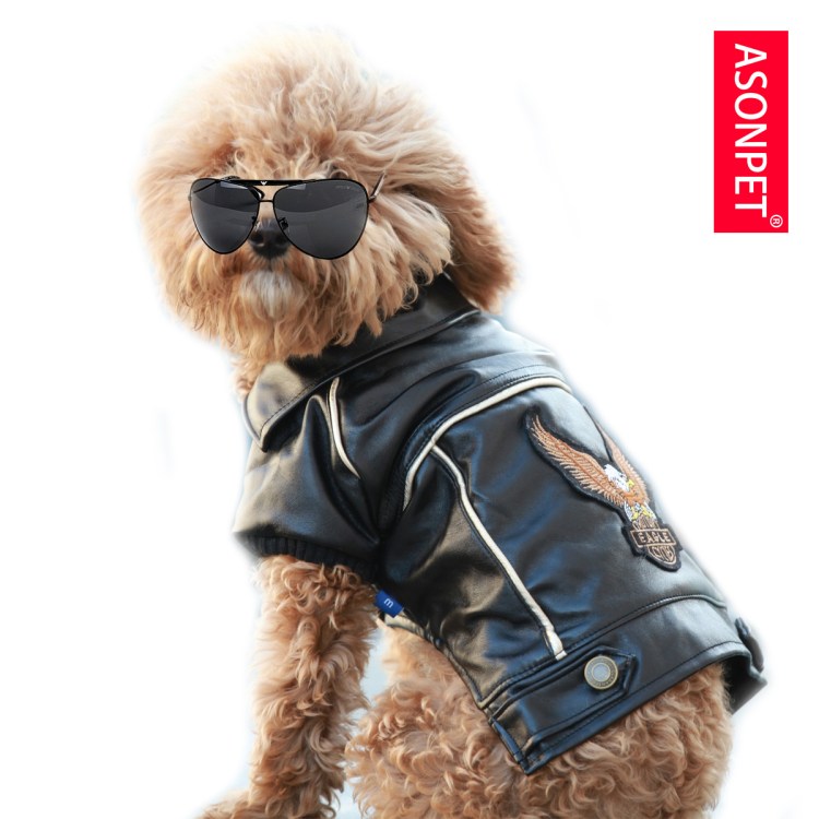 Собака в кожаной куртке