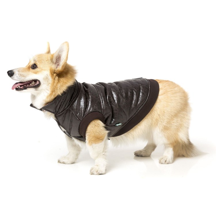 Одежда для собак Рокерская