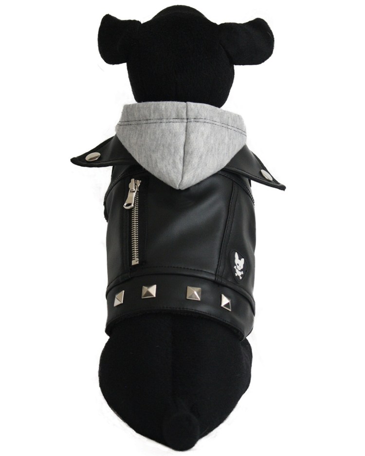 Собака в кожаной куртке