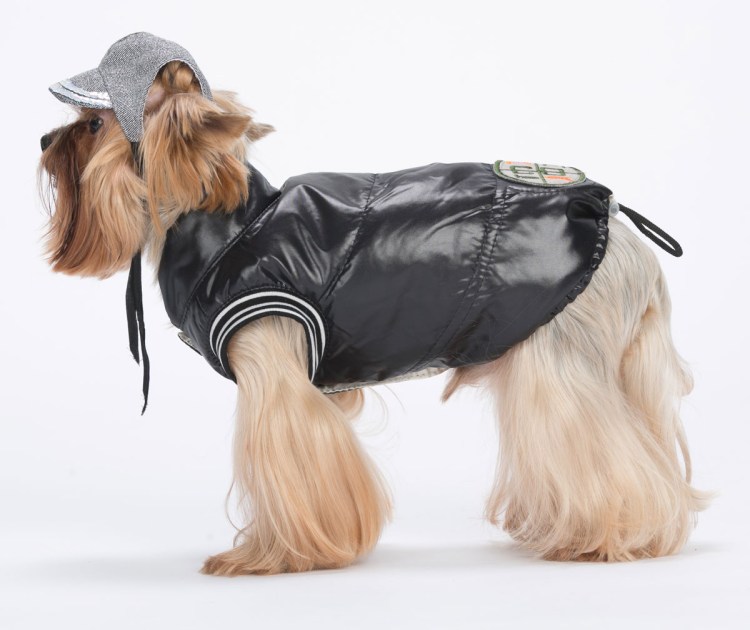 Dog Helios комбинезон