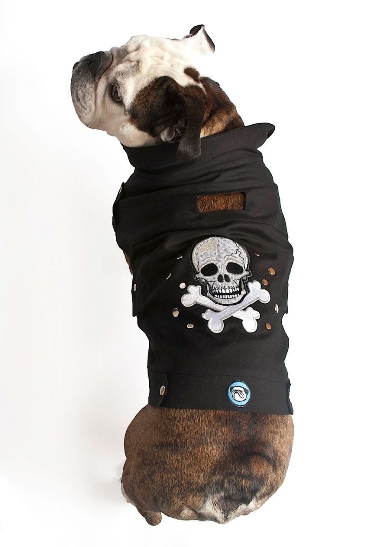 Байкерская одежда для собак