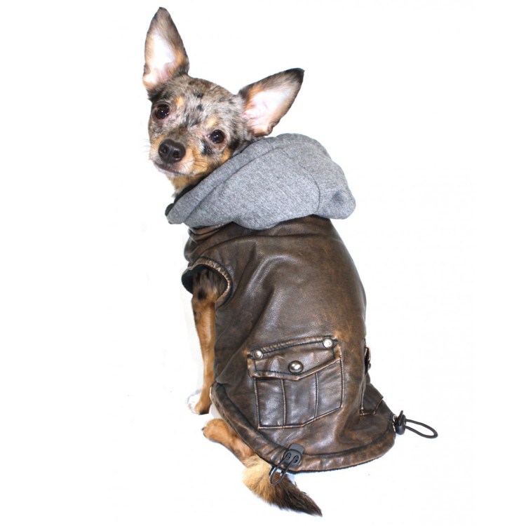 Triol куртка-бомбер «Dog Star»