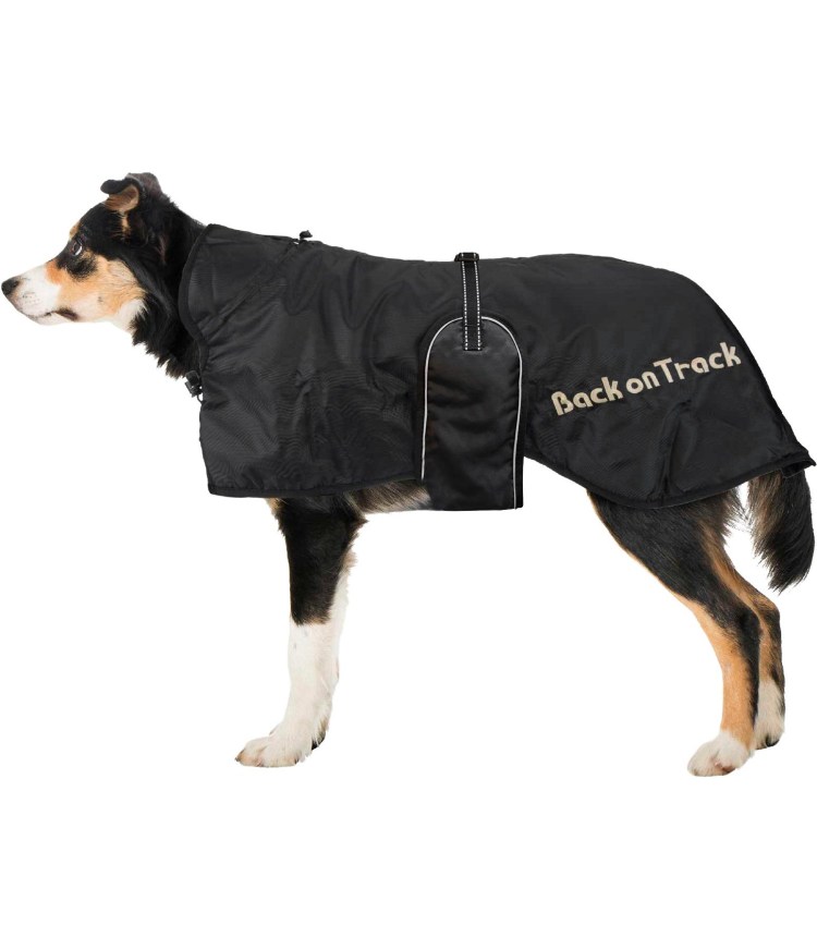 Йоркширский терьер байкер