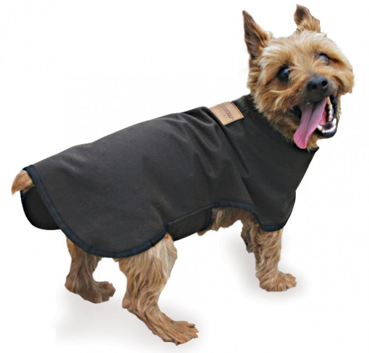 Кожаная одежда для собак