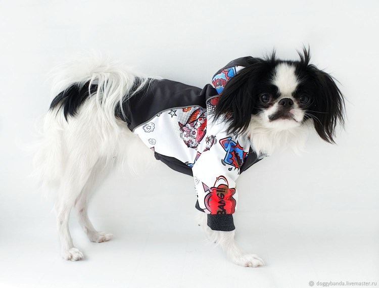 Пальто для собак petcircle городской стиль, унисекс, зеленый