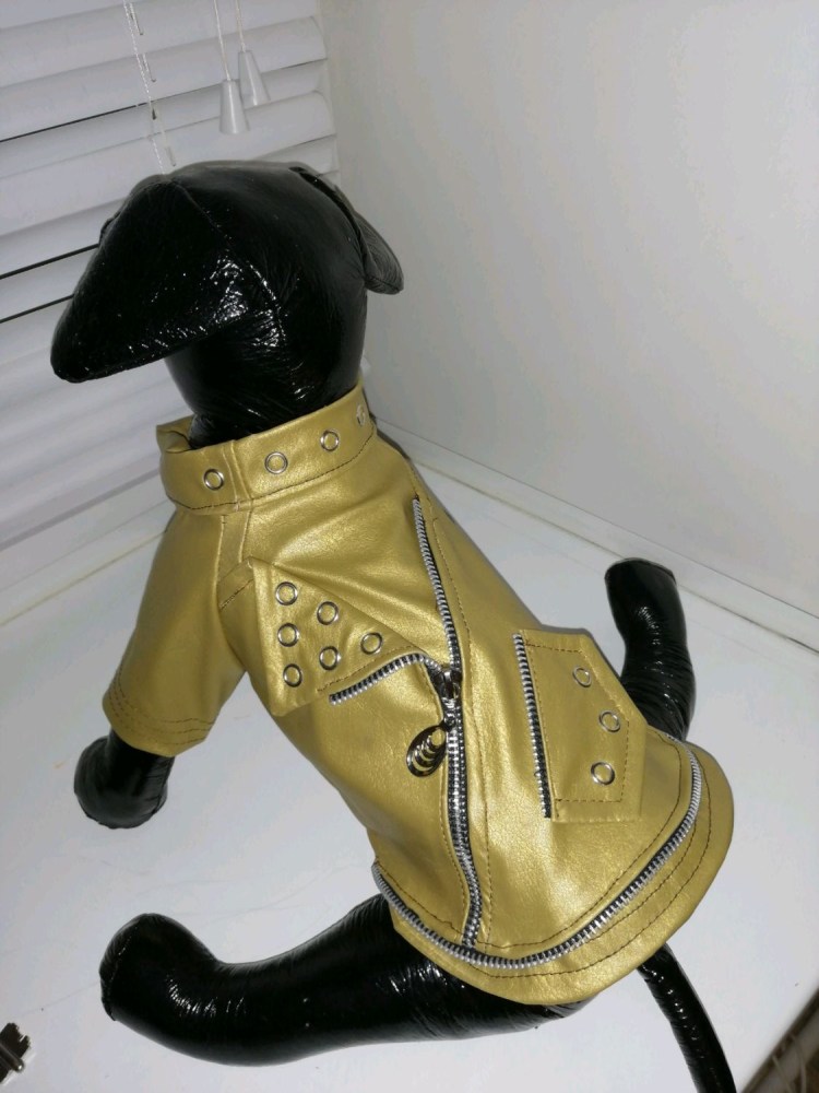 Доберман в косухе