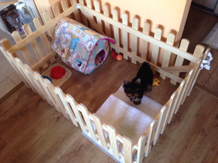 Клетка для собак