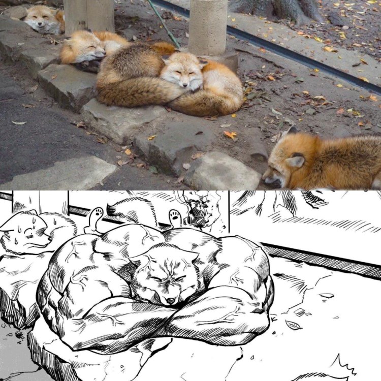 Собака качок Мем