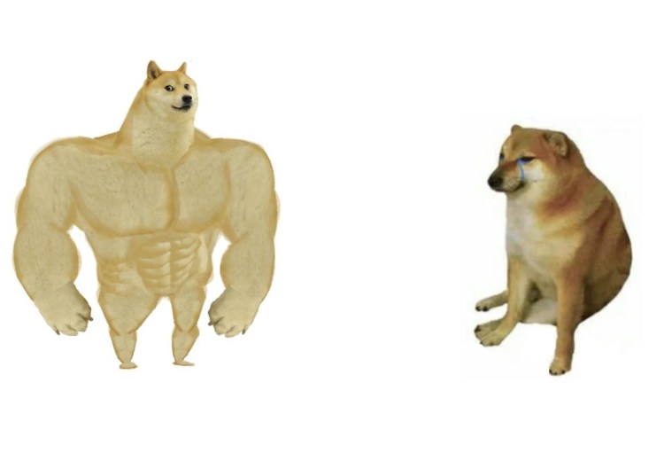 Собака с мускулами из мема