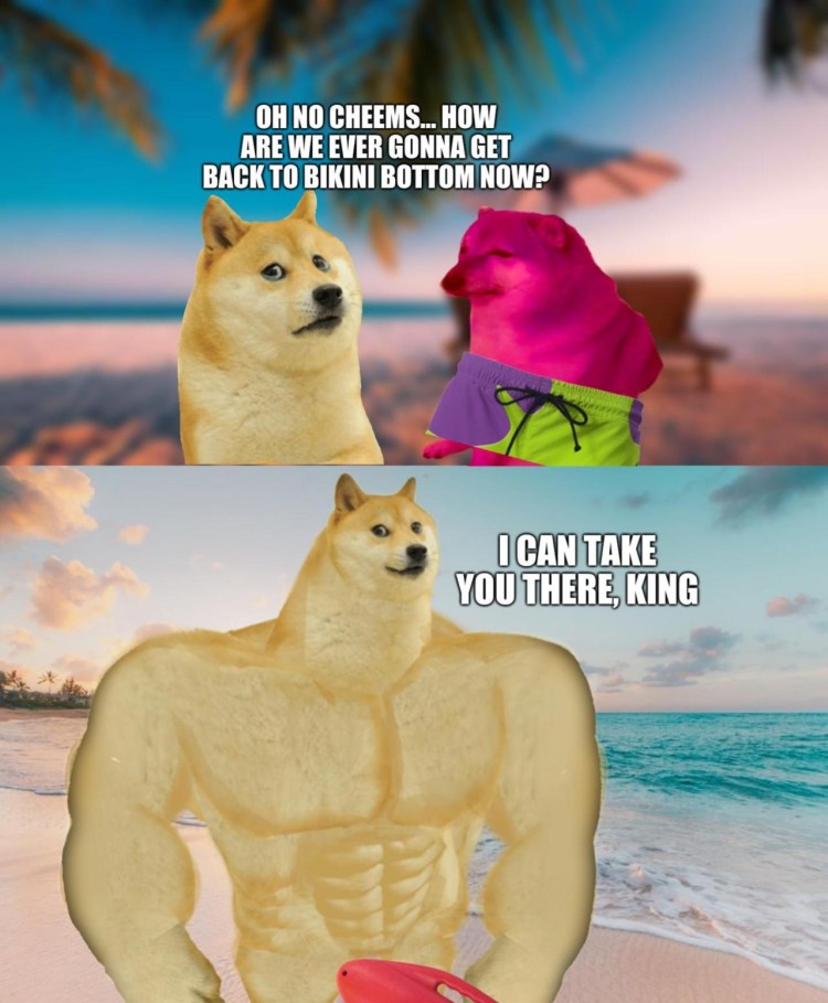 Doge мускулистый