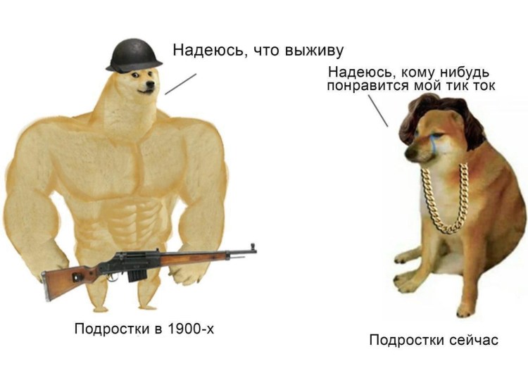 Песик качок