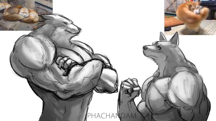 Лиса с бицухой