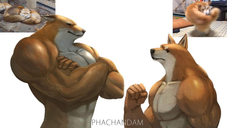 Накаченные лисы