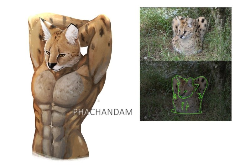 Мускулистые животные мемы